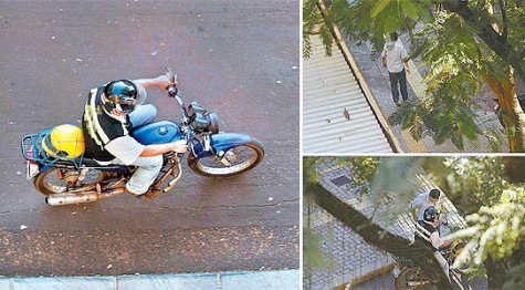 Waffenlieferant (Folha de Sao Paulo)