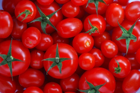 Tomaten