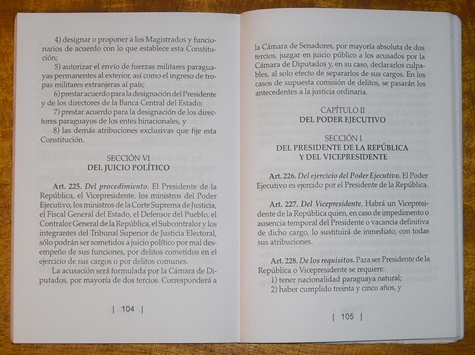 Art. 225 Verfassung (Jan Päßler)