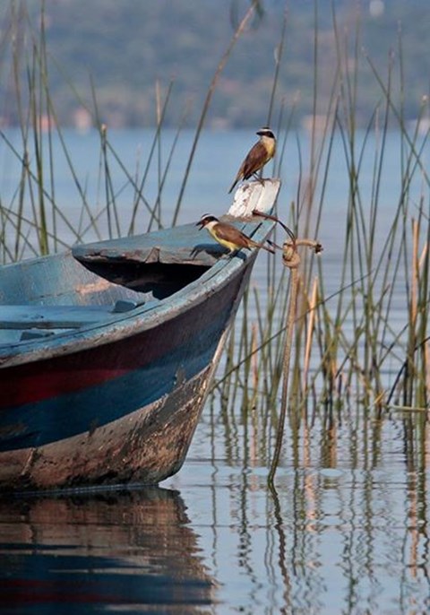 1888534_673793052688240_851585283_n