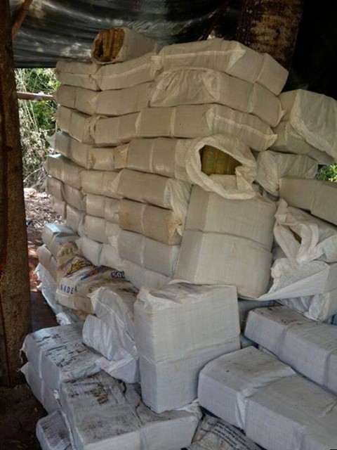 1959322_633754830025460_2127767901_n