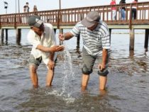 Der “blaue“ See Ypacaraí