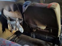 Von der Neuzeit in die Steinzeit