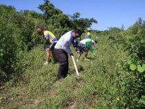 Wo ein Wille, da ein Weg