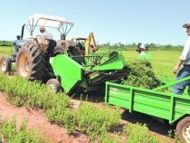 Bildung ist die Grundlage der Entwicklung von Gemeinschaften