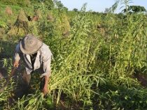 Die Großen werden reicher, die Armen ärmer