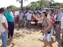 Die Hitze bringt einige auf die Palme