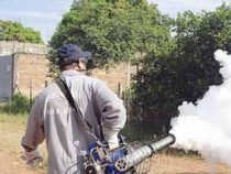 Probleme mit einer Behörde im Chaco