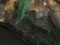 Tödlich wirkende Schwerkraft