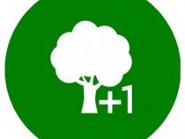 Eine App für die Aufforstung