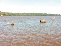 Wer sich auf andere verlässt, ist verlassen