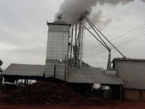 Razzia in Sojasilo einer Mennonitenkolonie