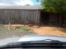 Schießerei im Naturreservat