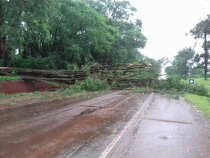 Unwetter bringt Zerstörung in deutsche Kolonien