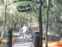 Der mythologische Pfad