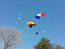 Das “Gehirn“ aus der Kolonie Independencia fehlt