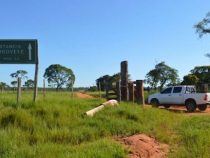 EPP: Pure Angst und nicht die gleiche Gesinnung