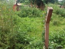 Verantwortungslosigkeit der Eigentümer