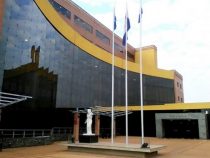 Tod durch Wespenstiche