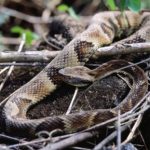 Vorsicht allein ist nicht genug