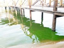 Der See ist nicht zum Baden geeignet