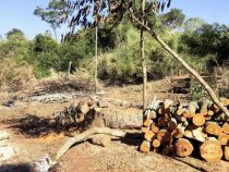 Eine Schule in großer Gefahr