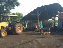 Landwirt Opfer eines Brandanschlags