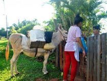 Sie und der Esel widerstehen dem Lauf der Zeit
