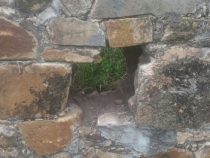 Ein Wahrzeichen aus der Kolonialzeit vor dem Verfall