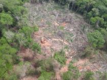 Kahlschlag in Paraguay