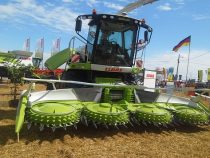 Die Expo Santa Rita unter Druck