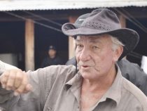 Die EPP schlug wieder zu