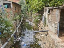 Mangelndes Umweltbewusstsein