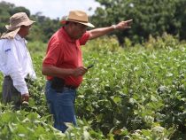 Wie Weihnachten und Ostern an einem Tag