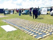 Der Mann des Himmels