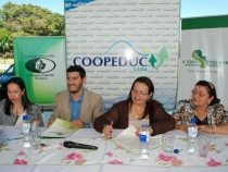 Dank Verfahrensfehler der Staatsanwaltschaft geht Coopeduc-Präsidentin straffrei aus