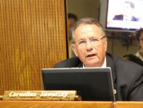 Mennonitischer Abgeordneter dient ausschließlich Cartes