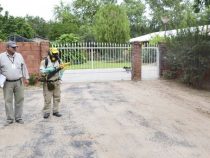 Anstieg der Dengue Fälle im Chaco