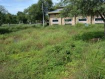 Wieder einmal leidet der Chaco