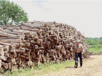 Es scheint ein Markt der Zukunft zu werden