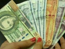 Die Beamten werden immer reicher