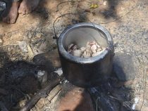 “Sozial ist, was Arbeit schafft“