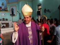 Die Zeit der NSDAP mit Cartes verglichen