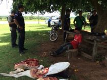 Viehdiebstähle nehmen zu