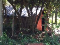 Indigene besetzen Land mit Pfeil und Bogen