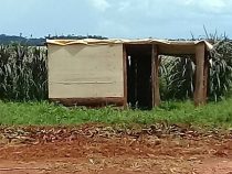 Deutschstämmiger prangert Invasion der Campesinos an