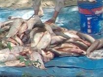 Angler aus Bolivien sorgen für Ärger