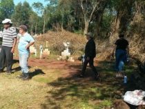 Ein Friedhof im Mittelpunkt des Interesses
