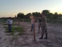 Maschendraht-Diebstahl teilweise aufgeklärt