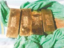 Wen wird das abhalten?